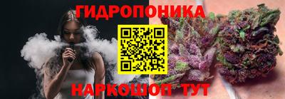 mdpv Ярославль