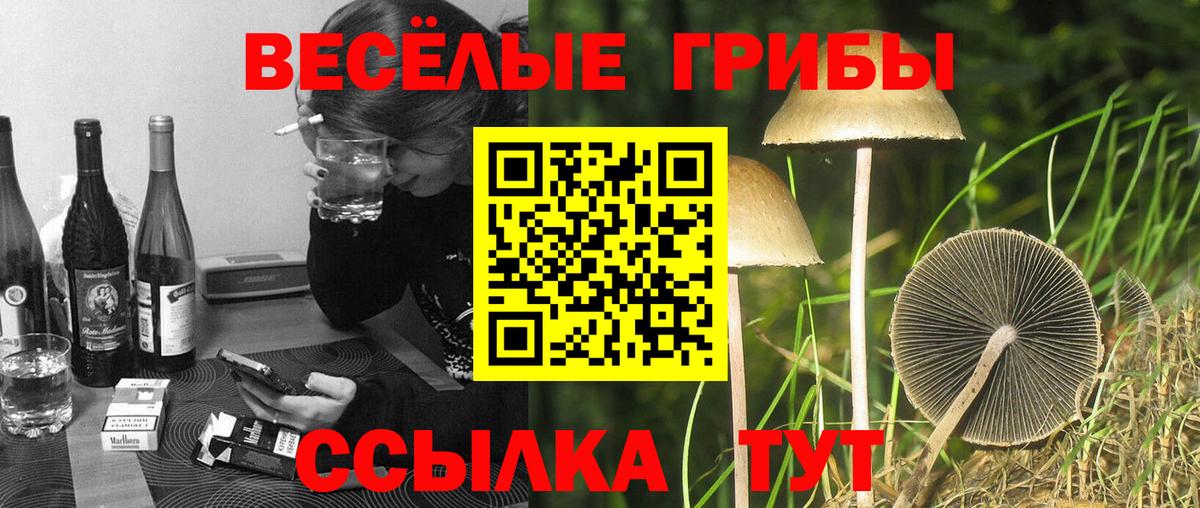 Галлюциногенные грибы ЛСД Белорецк
